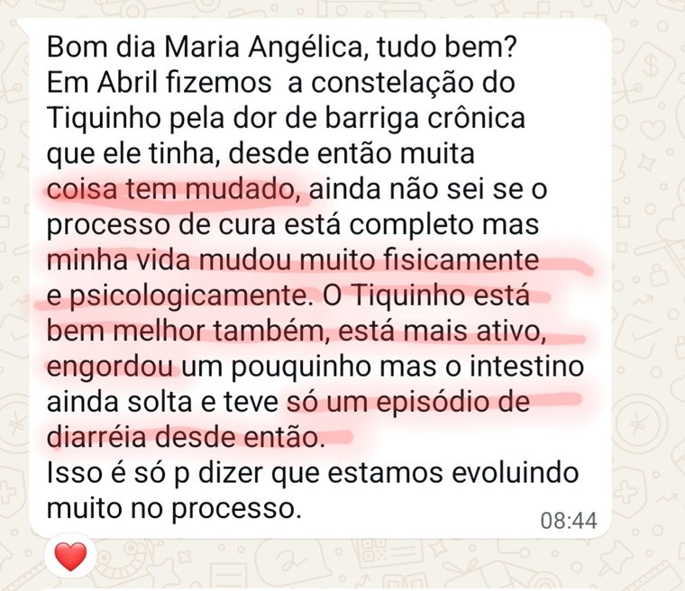 Captura do depoimento de Keila Aparecida, tutora do gato Tiquinho: após a constelação para a dor de barriga crônica, o Tiquinho ficou mais ativo e ganhou peso, e a vida dela mudou física e psicologicamente.