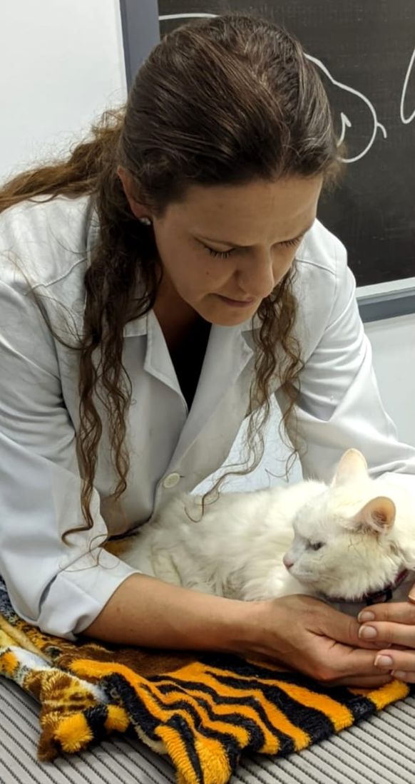 Dra. Maria Angélica acolhendo um gato branco no atendimento